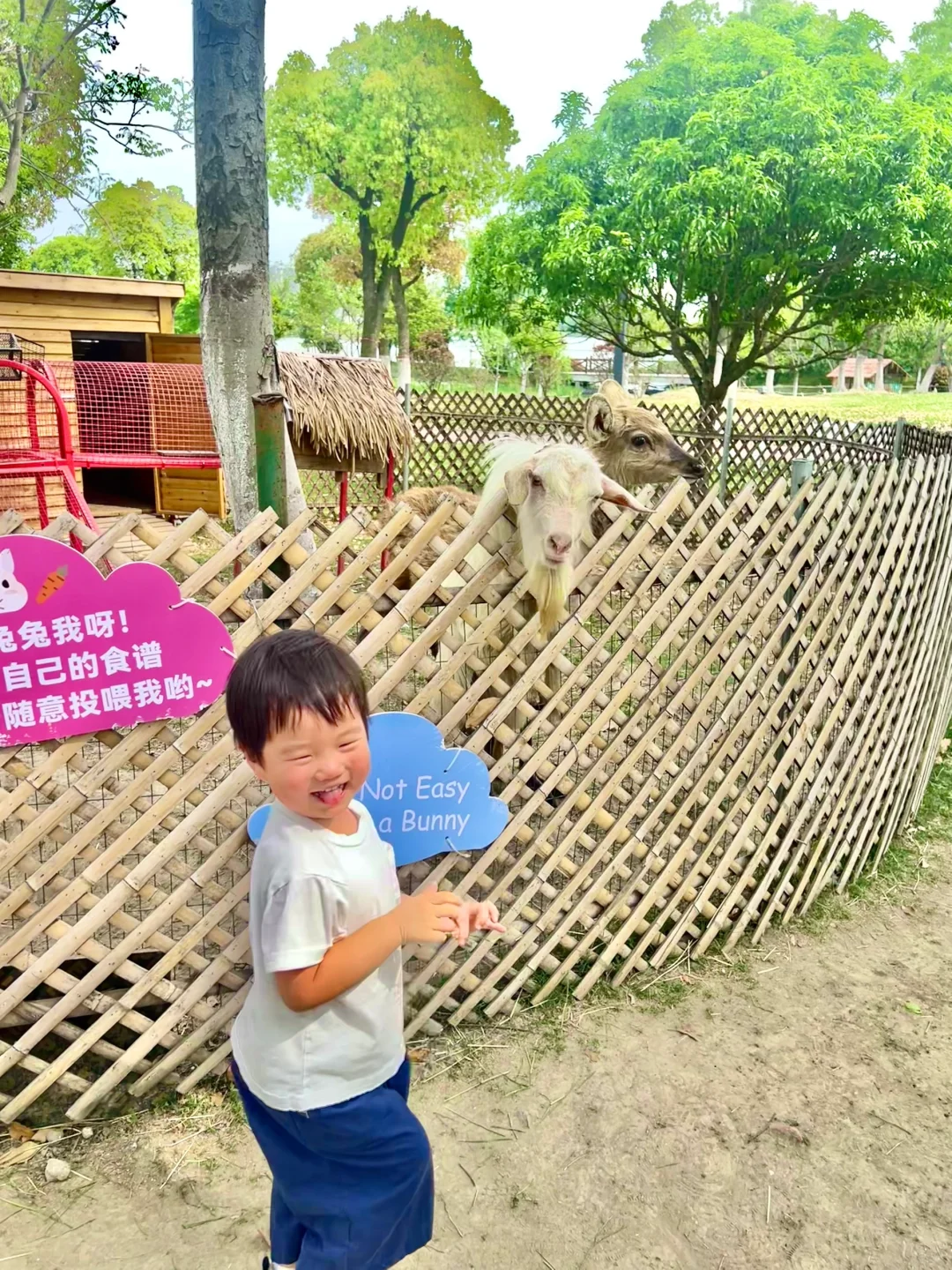 上海🚘1h 嘉兴两日游 撸宠游湖玩乐园卡丁车