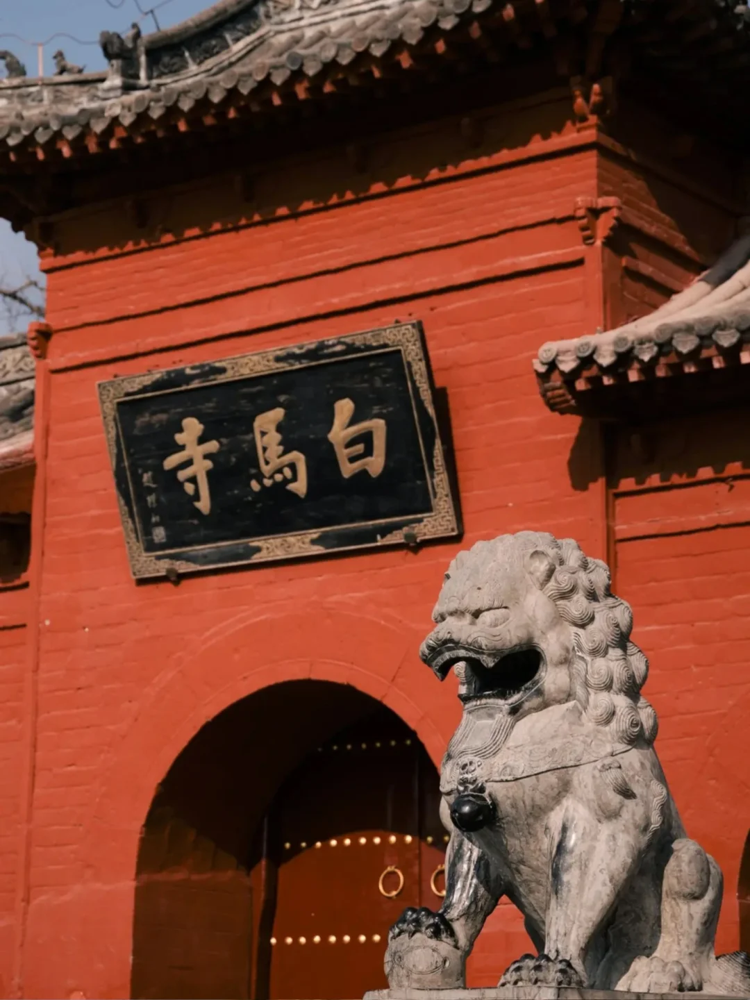 带爸妈去洛阳，2025赏花全攻略 路线+美食