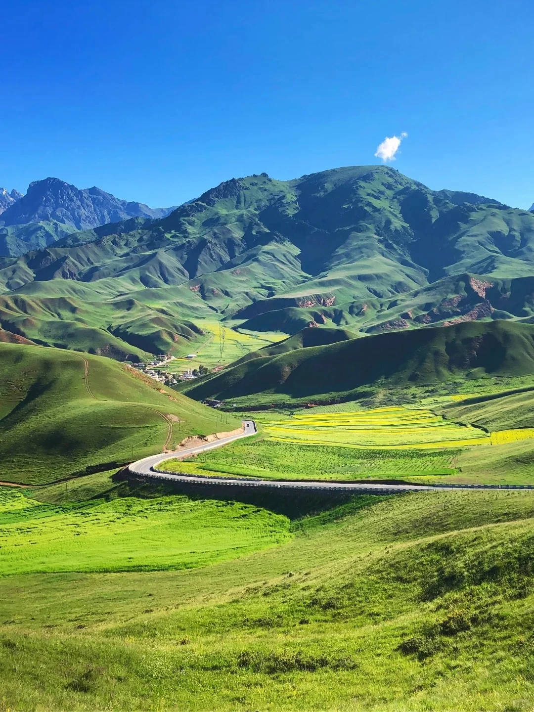 真心建议五一死磕西北，便宜到怀疑人生😅