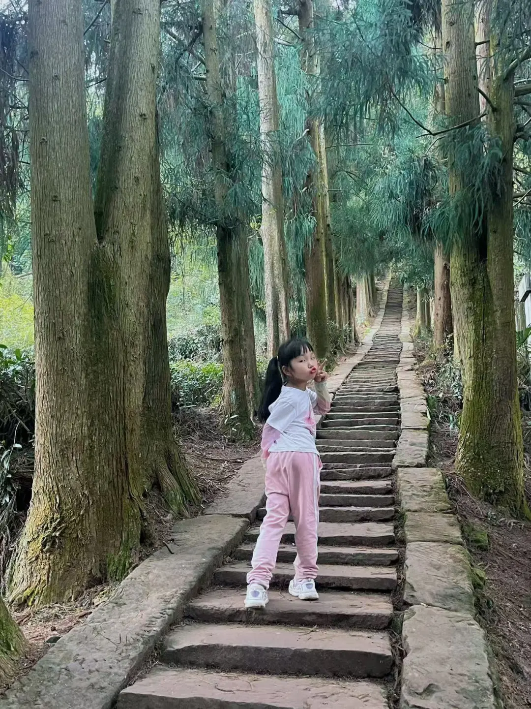 刚回来❗蒙顶山采茶徒步，亲子奖牌拿下‼️