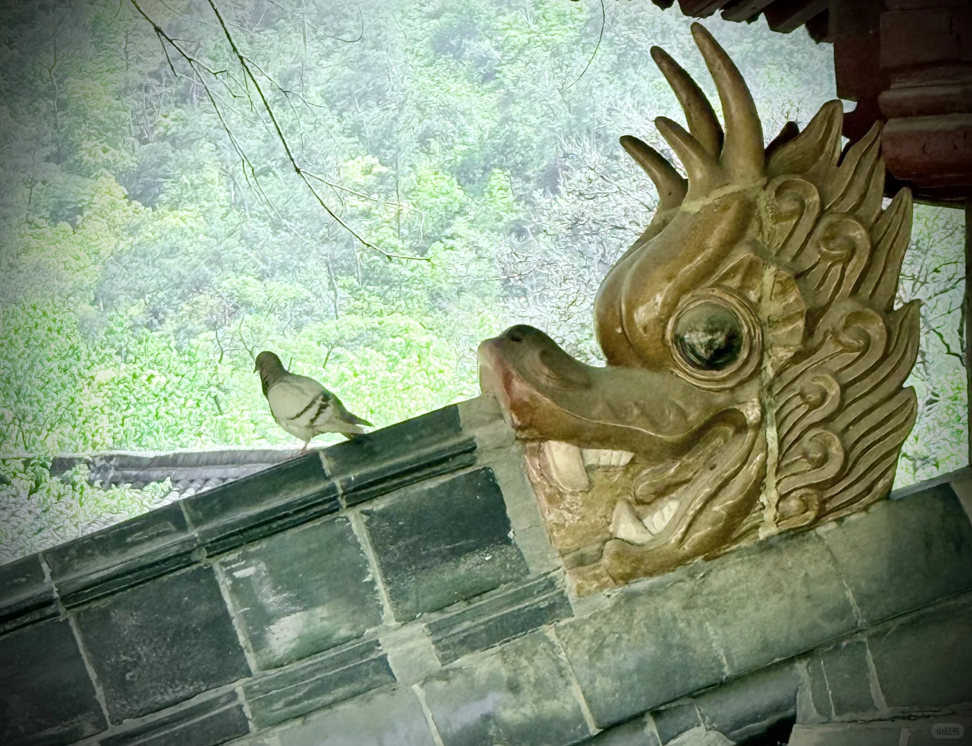 清心静气来寺庙