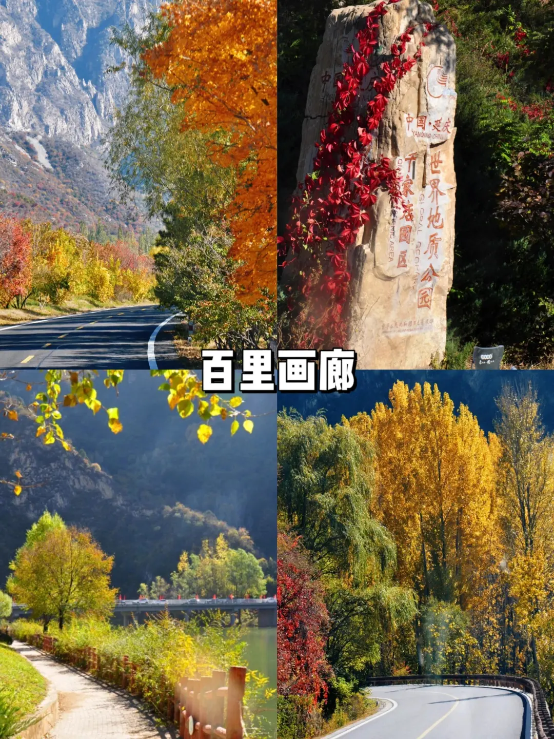 延庆9大必打卡景点🔥你去过几个？