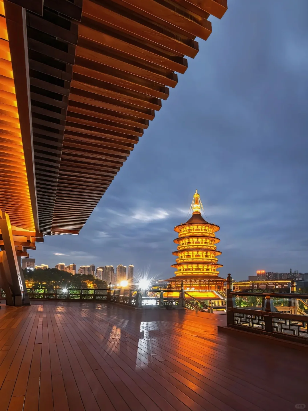 带爸妈去洛阳，2025赏花全攻略 路线+美食