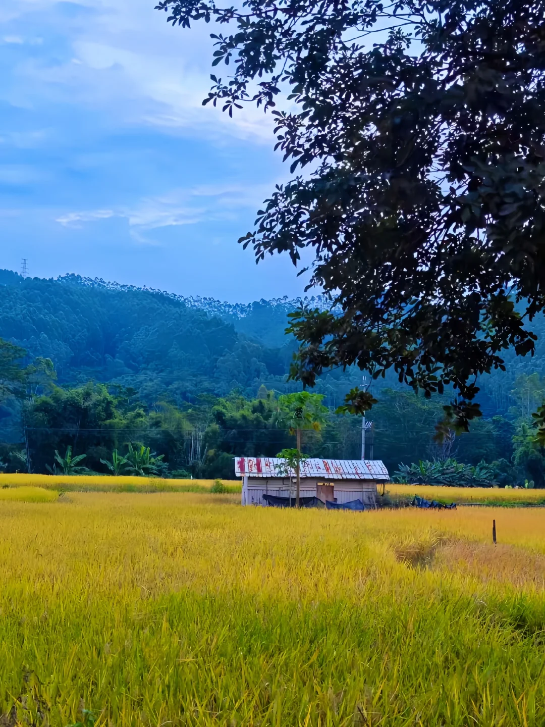 惠州博罗⛰特色景点这样玩‼2天路线全概括