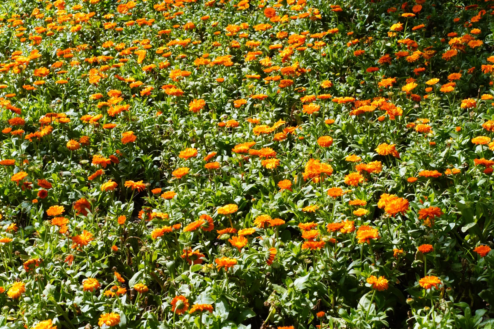 🚩杭州一日游 | 超全攻略带你玩转杭城