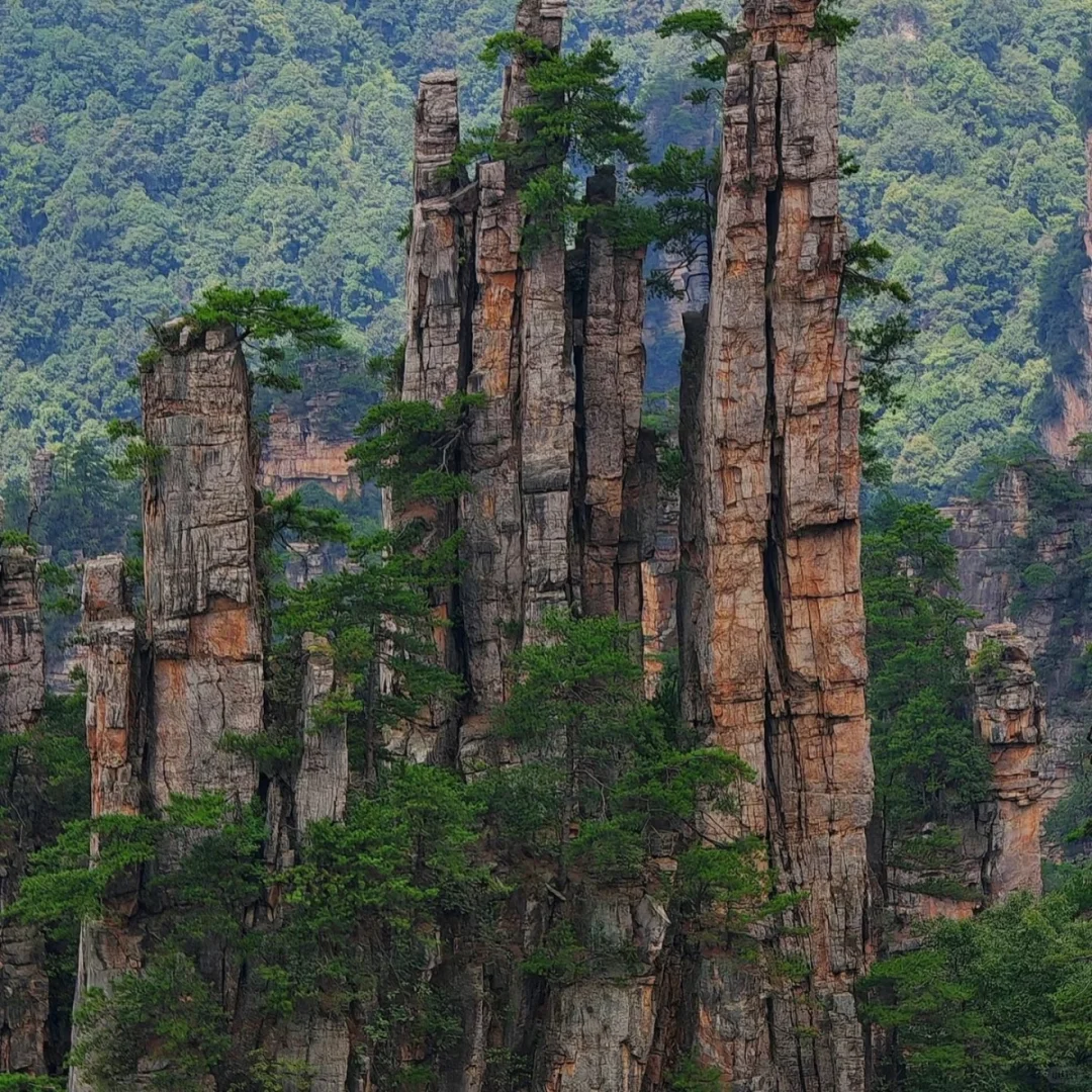 张家界4天超详细深度旅游攻略来啦