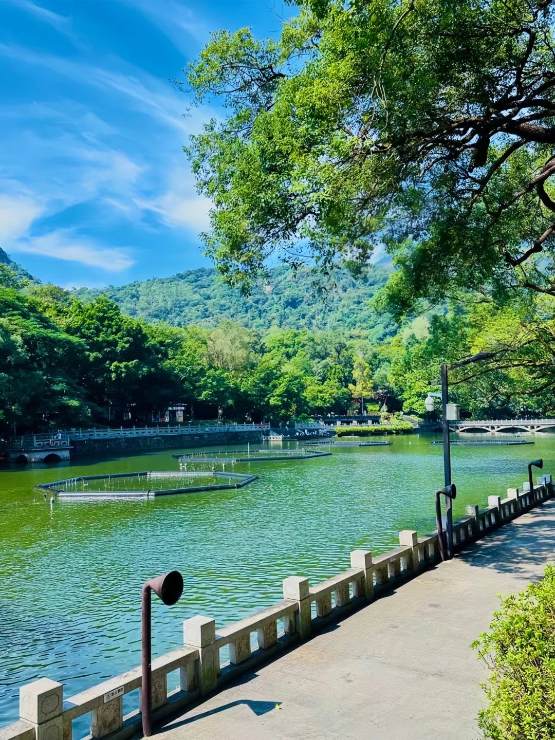 惠州博罗⛰特色景点这样玩‼2天路线全概括