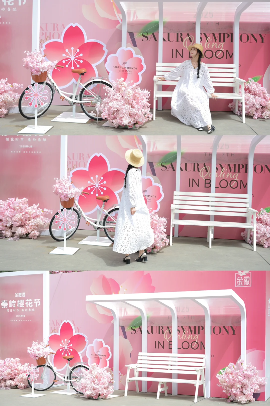 在陇南｜赏樱🌸品酿～