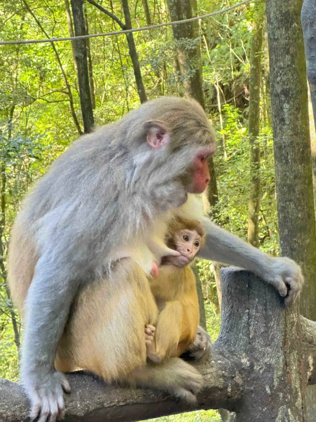 ⭕张家界5日游|超省心保姆级攻略 别划走