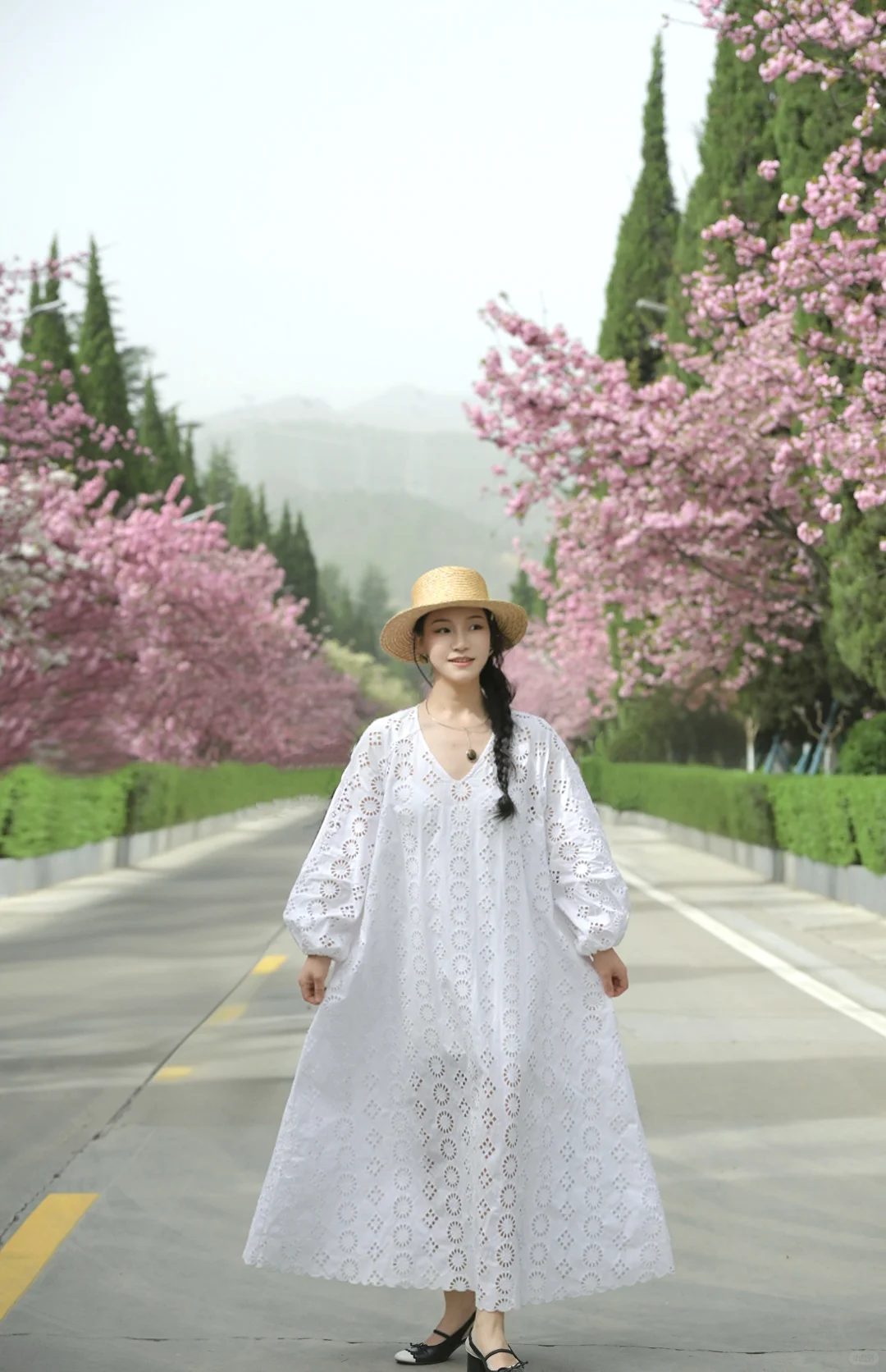 在陇南｜赏樱🌸品酿～