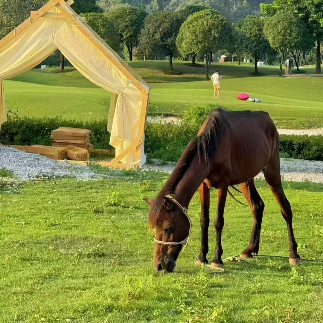 📍4.13 桂林已逃，两个人都崩溃了。