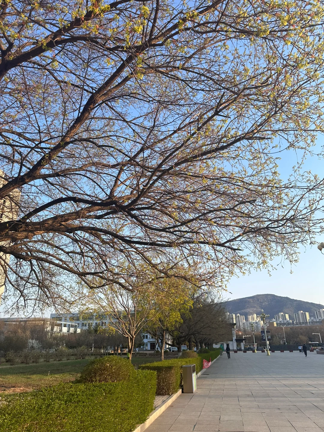 🎓河北旅游职业学院旅行社经营与管理专业