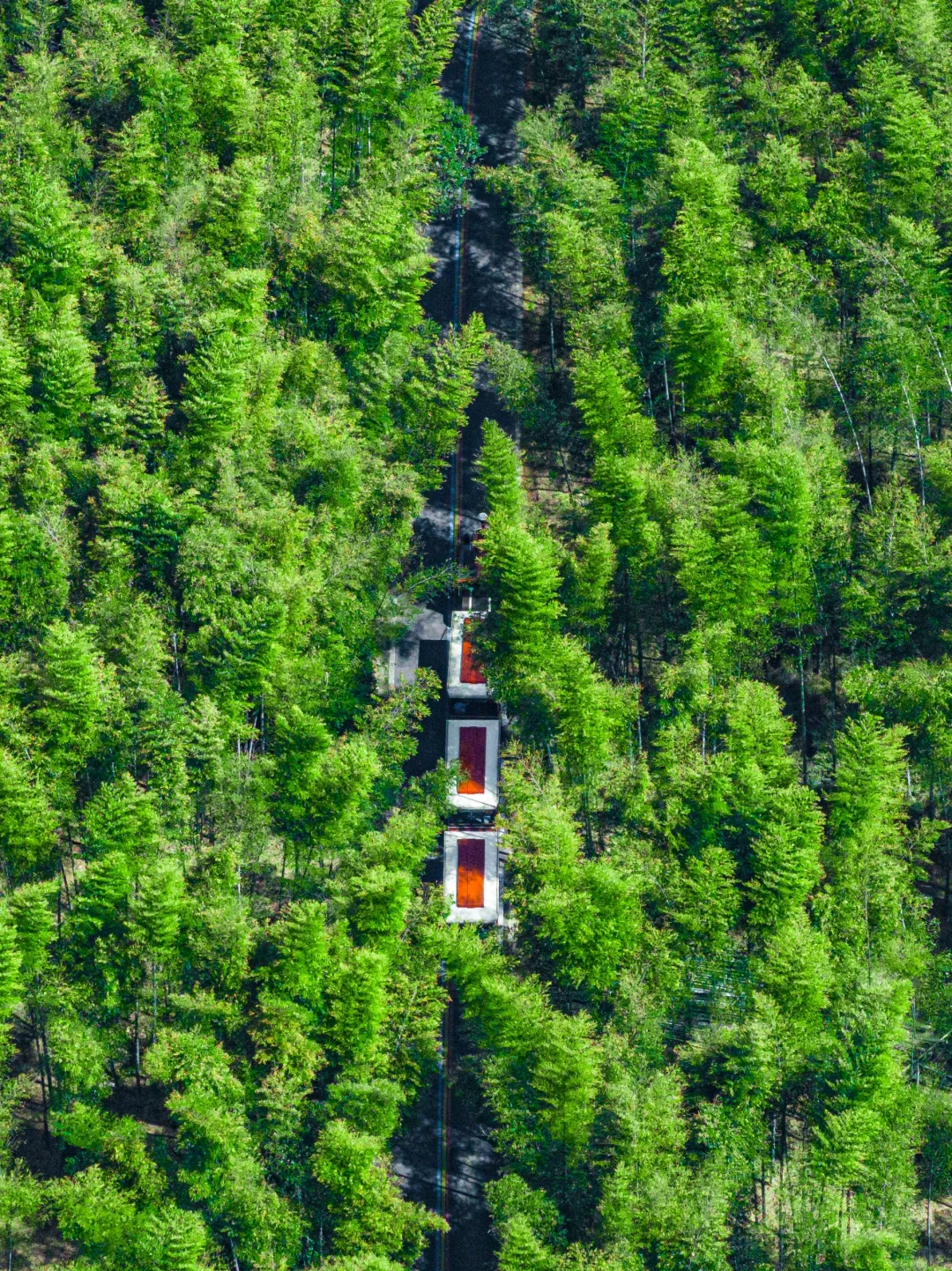 迄今为止，我最喜欢的旅游城市出现了❗❗️