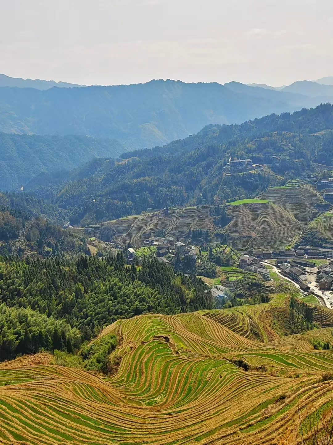 📍4.13 桂林已逃，两个人都崩溃了。