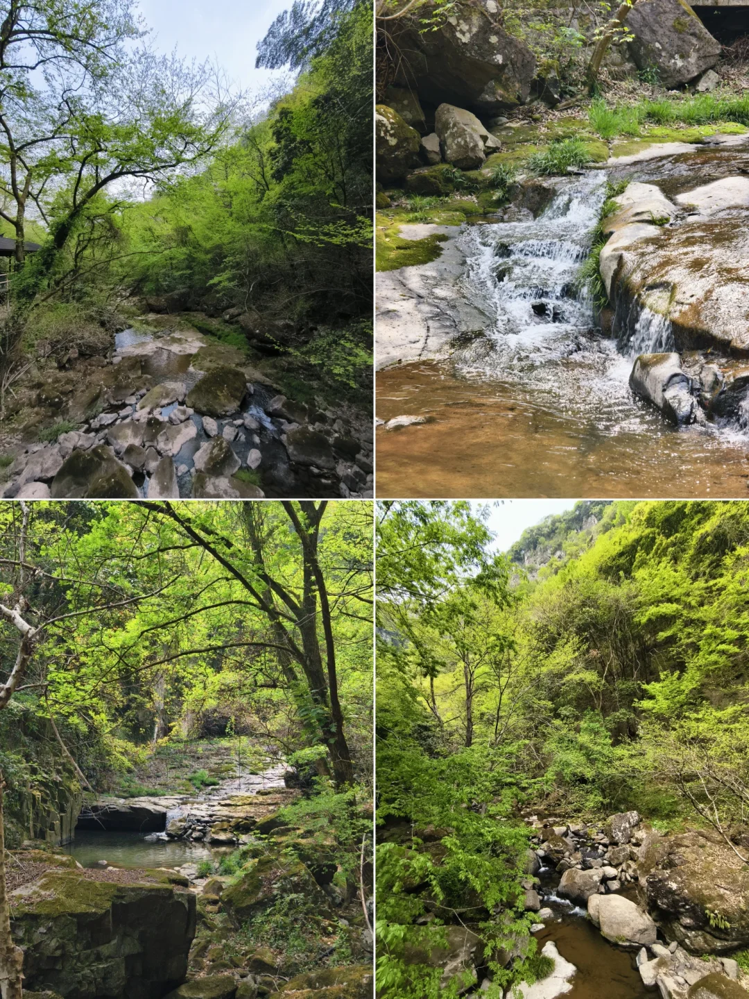 宁波⛰️:迄今为止,最美徒步线,很小白