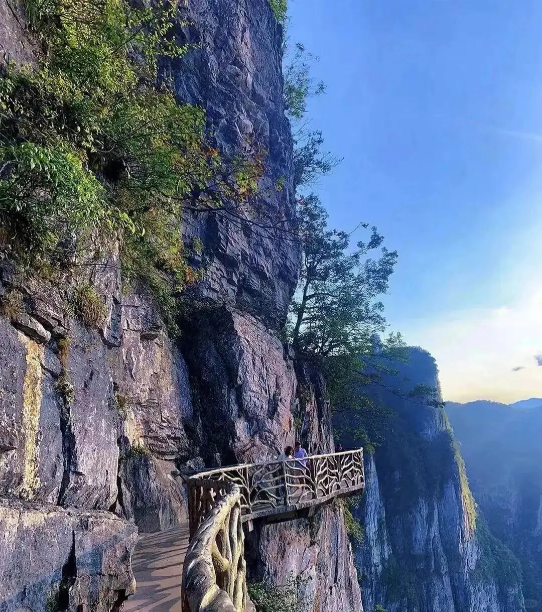 张家界真的牛啊，直接把我累趴了！