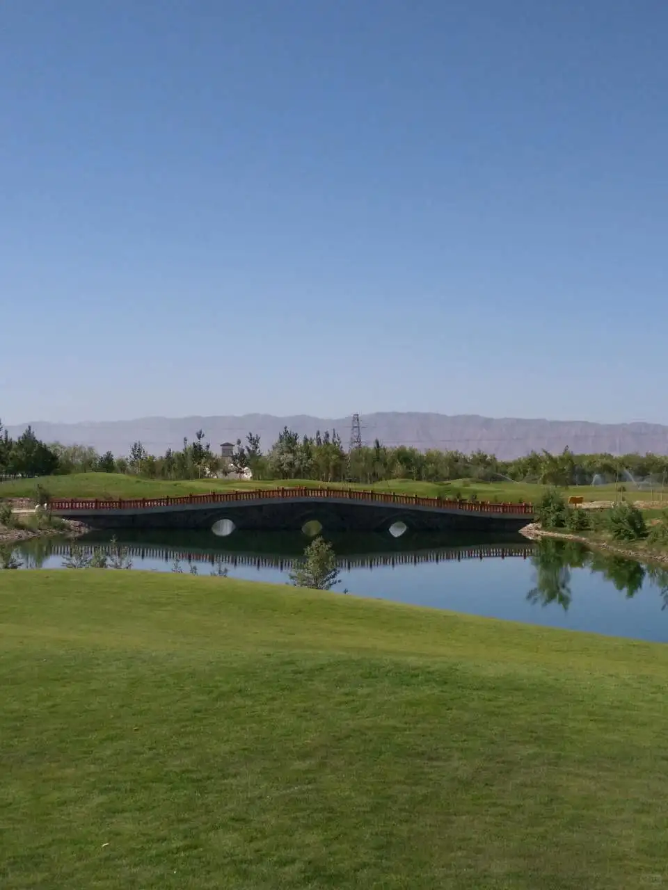 腾格里金沙岛#醉美沙漠花园