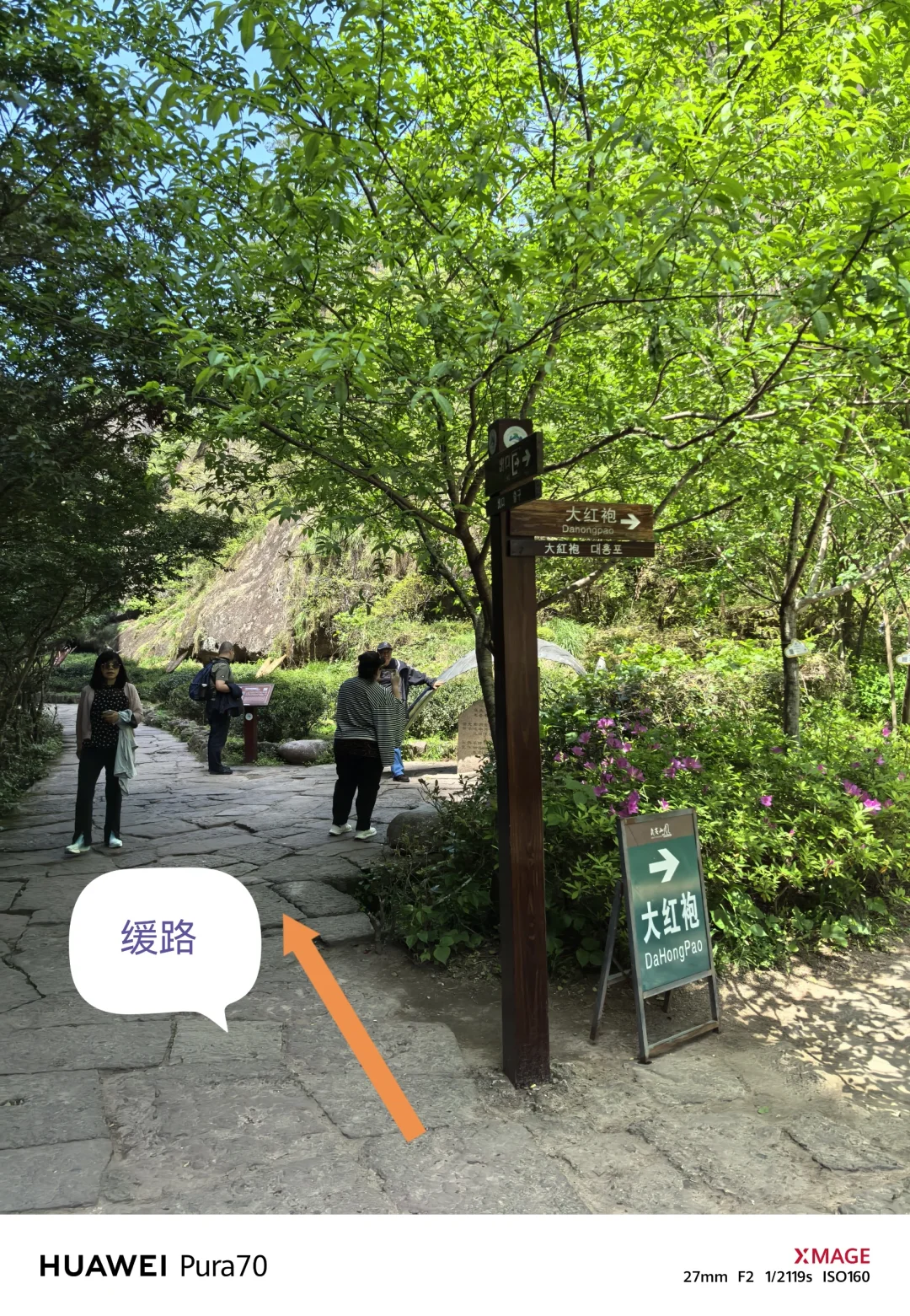 203504武夷山大红袍水帘洞景区