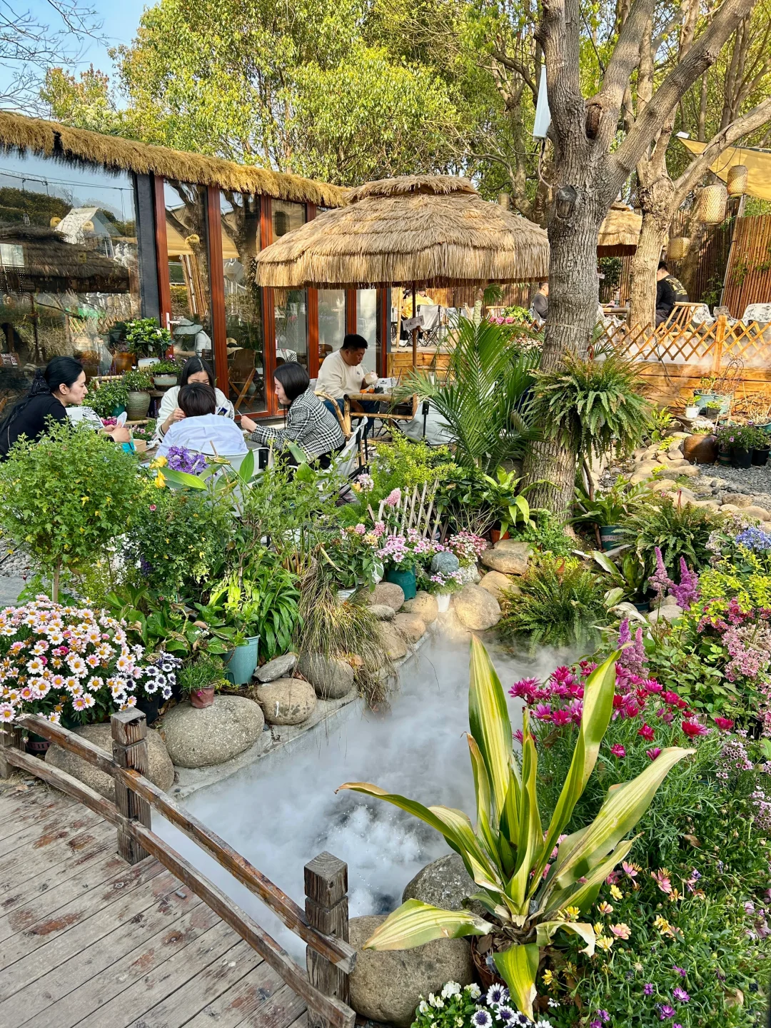 接下来的苏州将美成这样❗️（live）