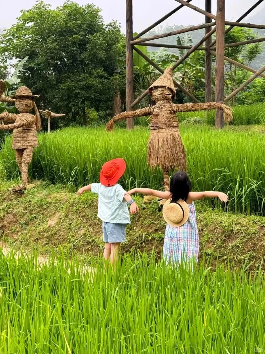 五一带娃去崇左+涠洲岛，真的赢麻了~