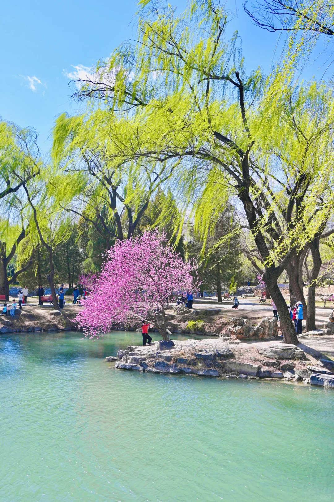 3.29颐和园豳风桥美到next level最佳观赏季