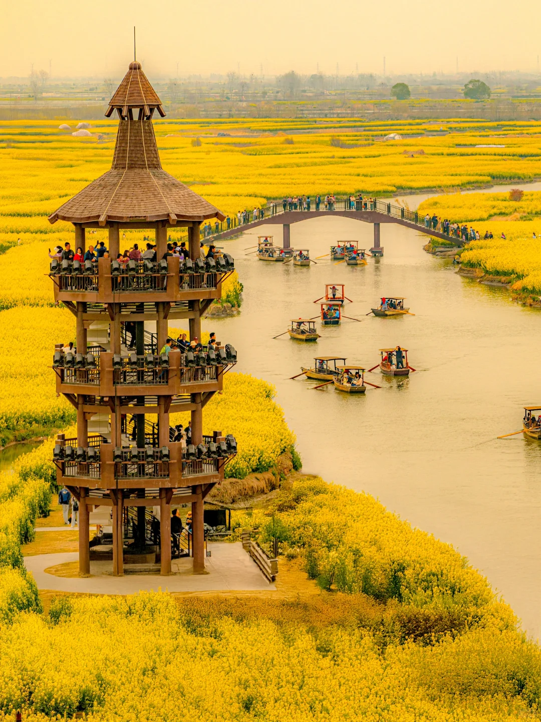 国家地理诚不欺我！水上花田超震撼，美哭了