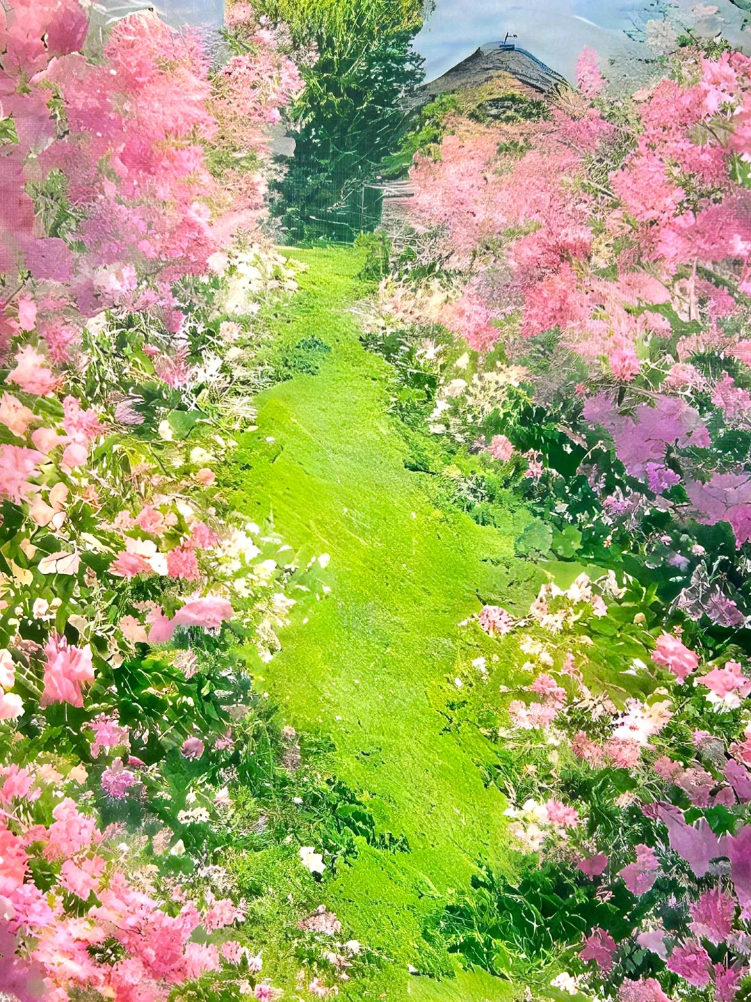 接下来的苏州将美成这样❗️（live）