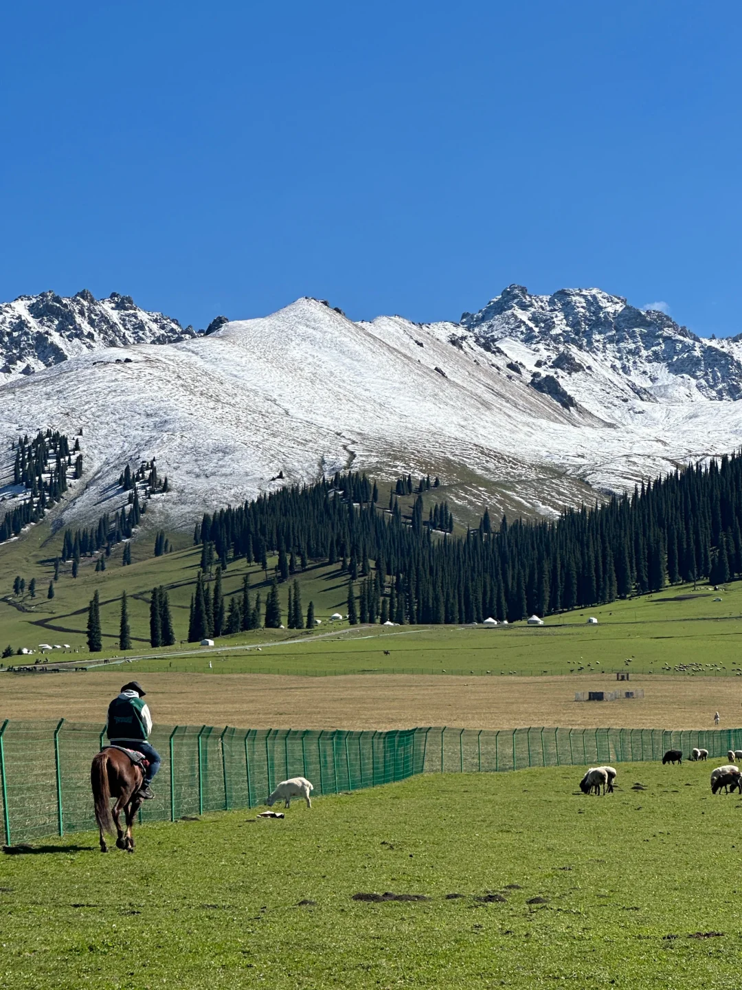 4.15📍新疆7天已回❗️总结10条避坑指南⚠️…