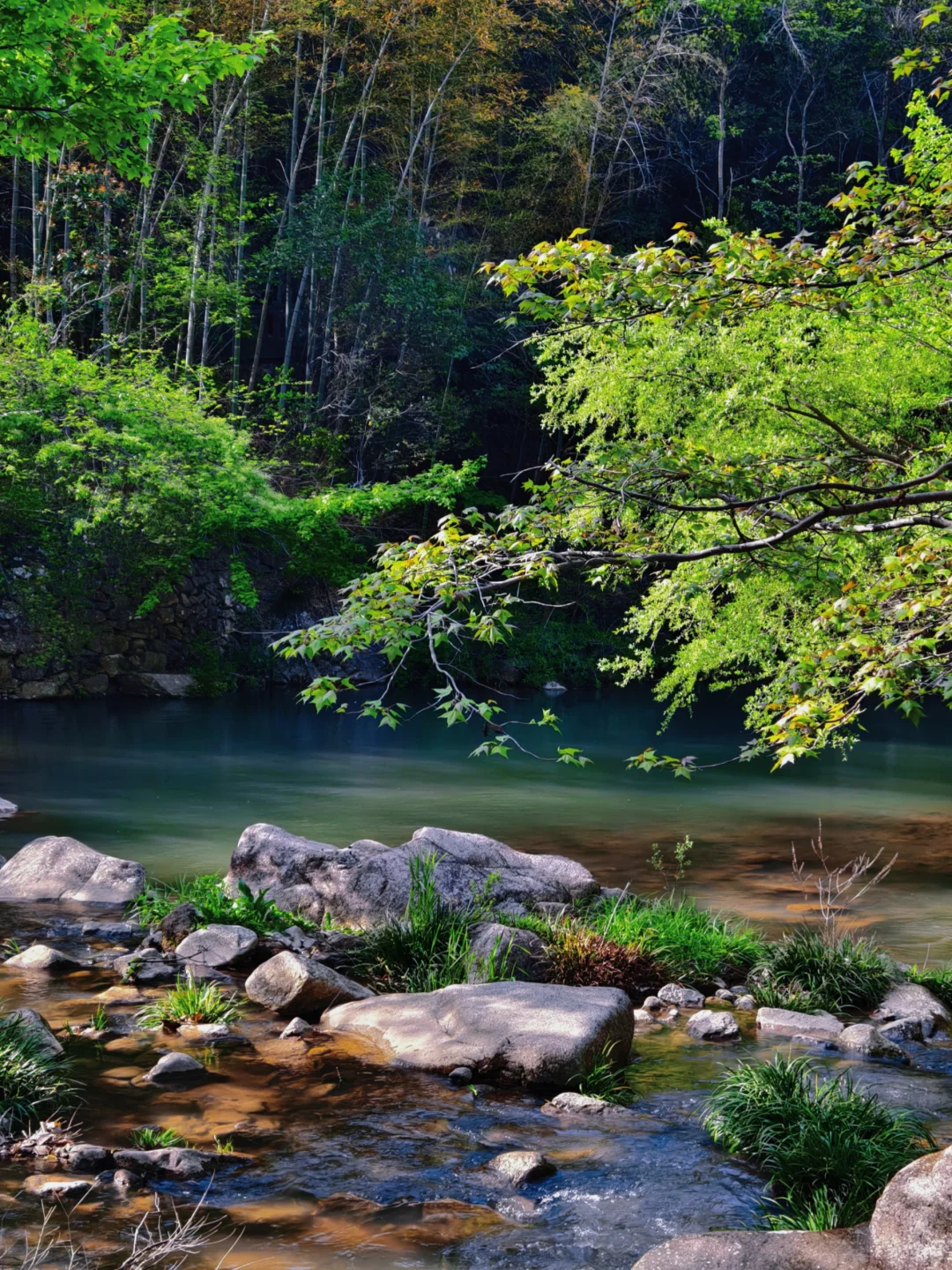 “人随春好 春与人宜”