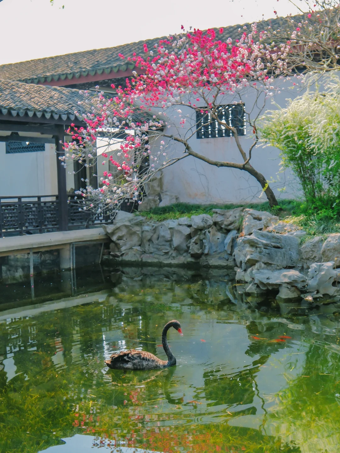 推荐一个绝对冷门但超级震撼的江南园林...