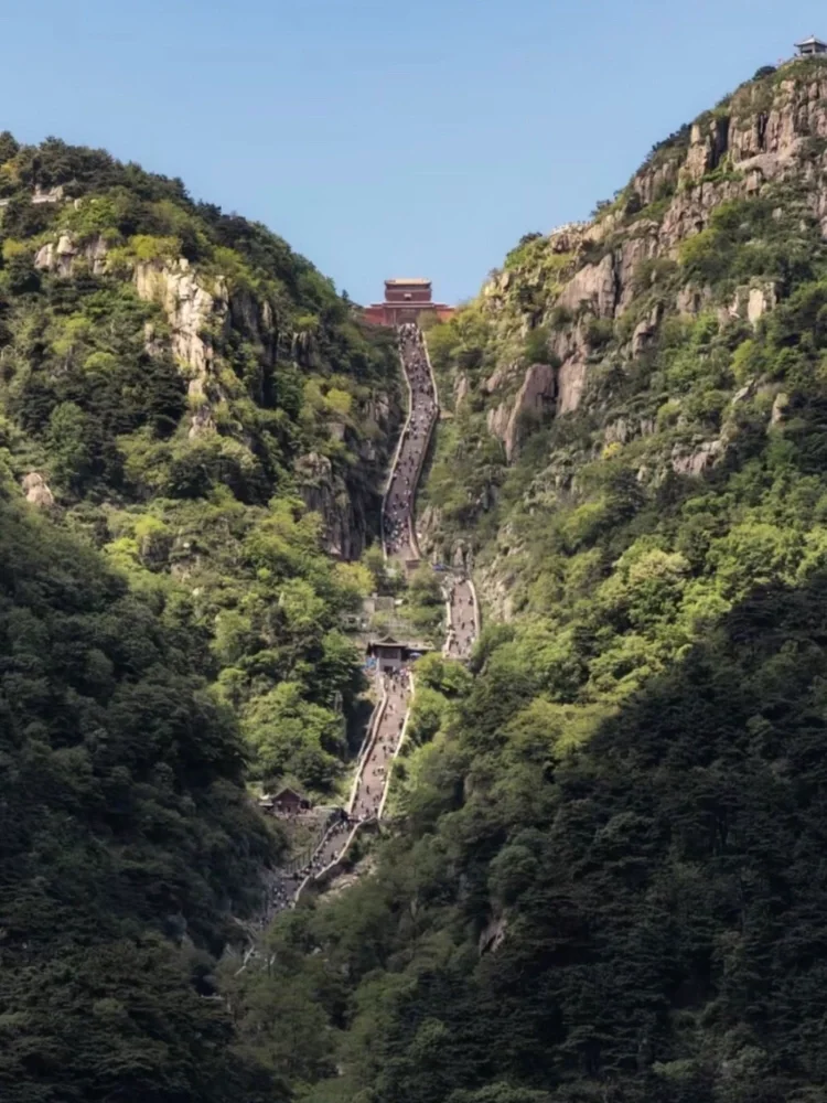 山东6日｜济南+泰山+曲阜保姆级攻略‼️