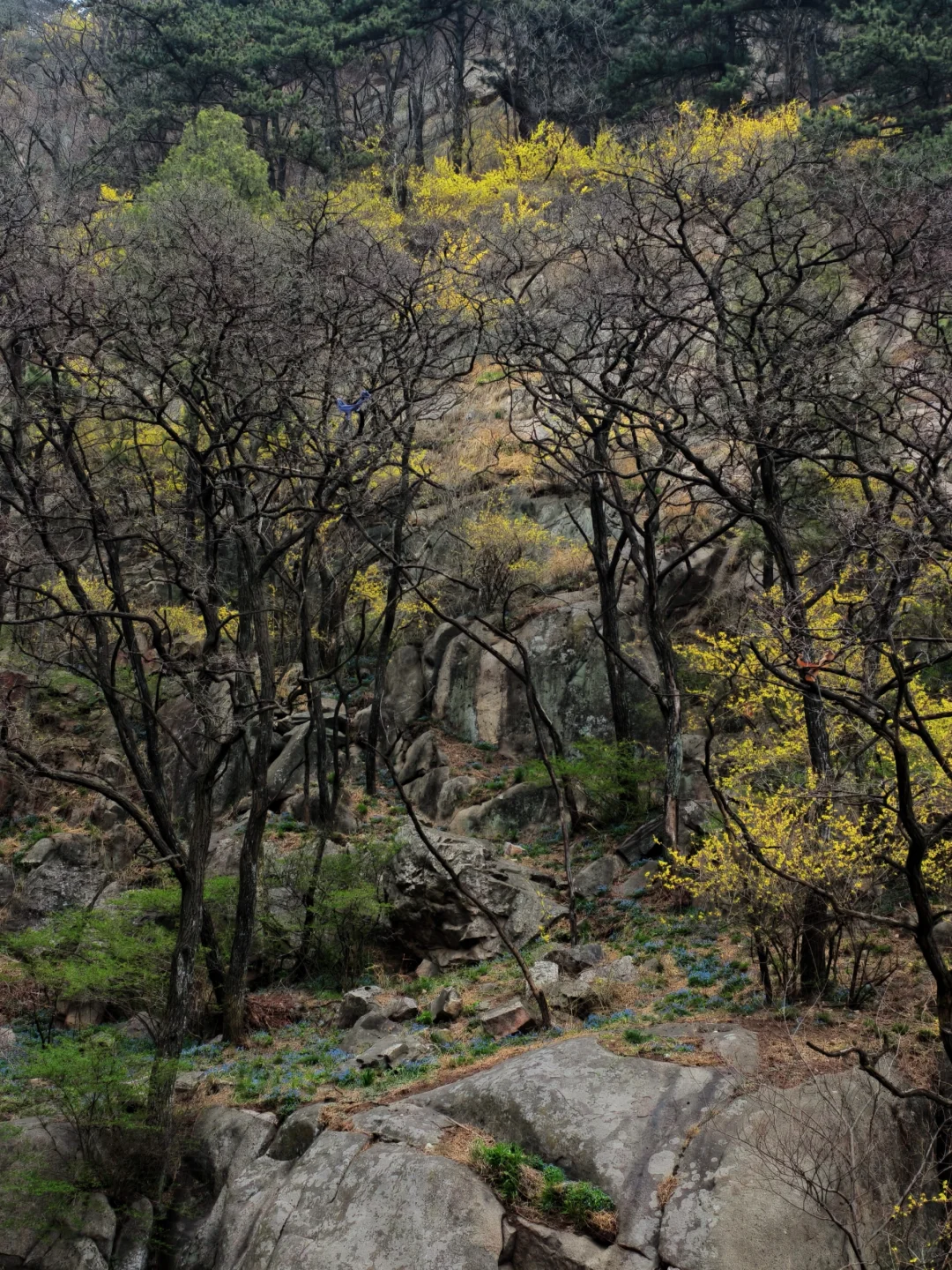 爬泰山，一定要走桃花峪徒步下山！太美啦！