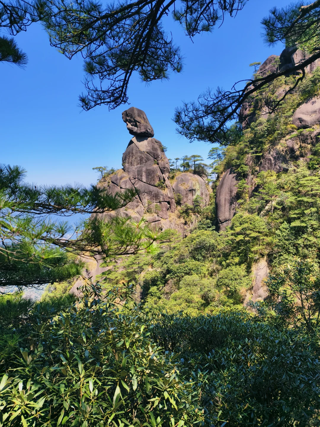 来三清山了！不虚此行⛰️