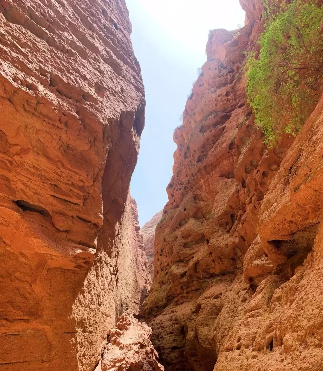 平山湖大峡谷：时光的雕刻大师⏳