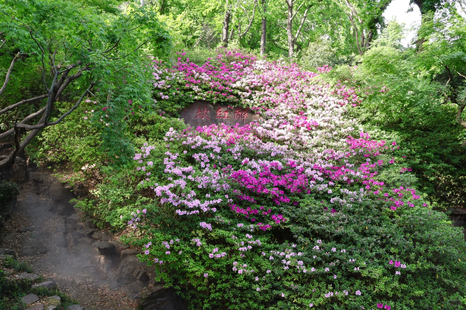 下午三点后｜无锡的这个公园会发光