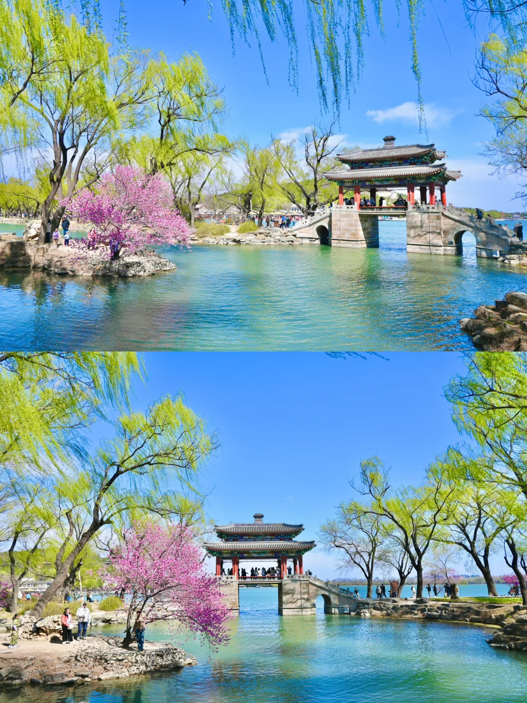 3.29颐和园豳风桥美到next level最佳观赏季