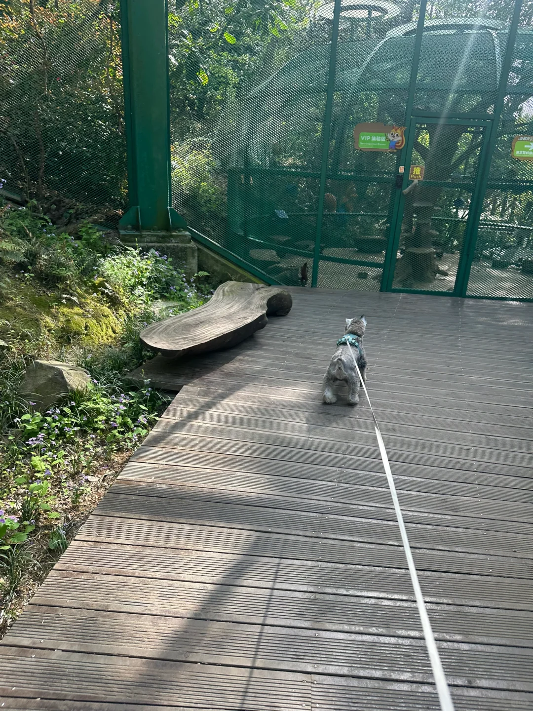 打卡宠物友好景区之溧阳天目湖山水园