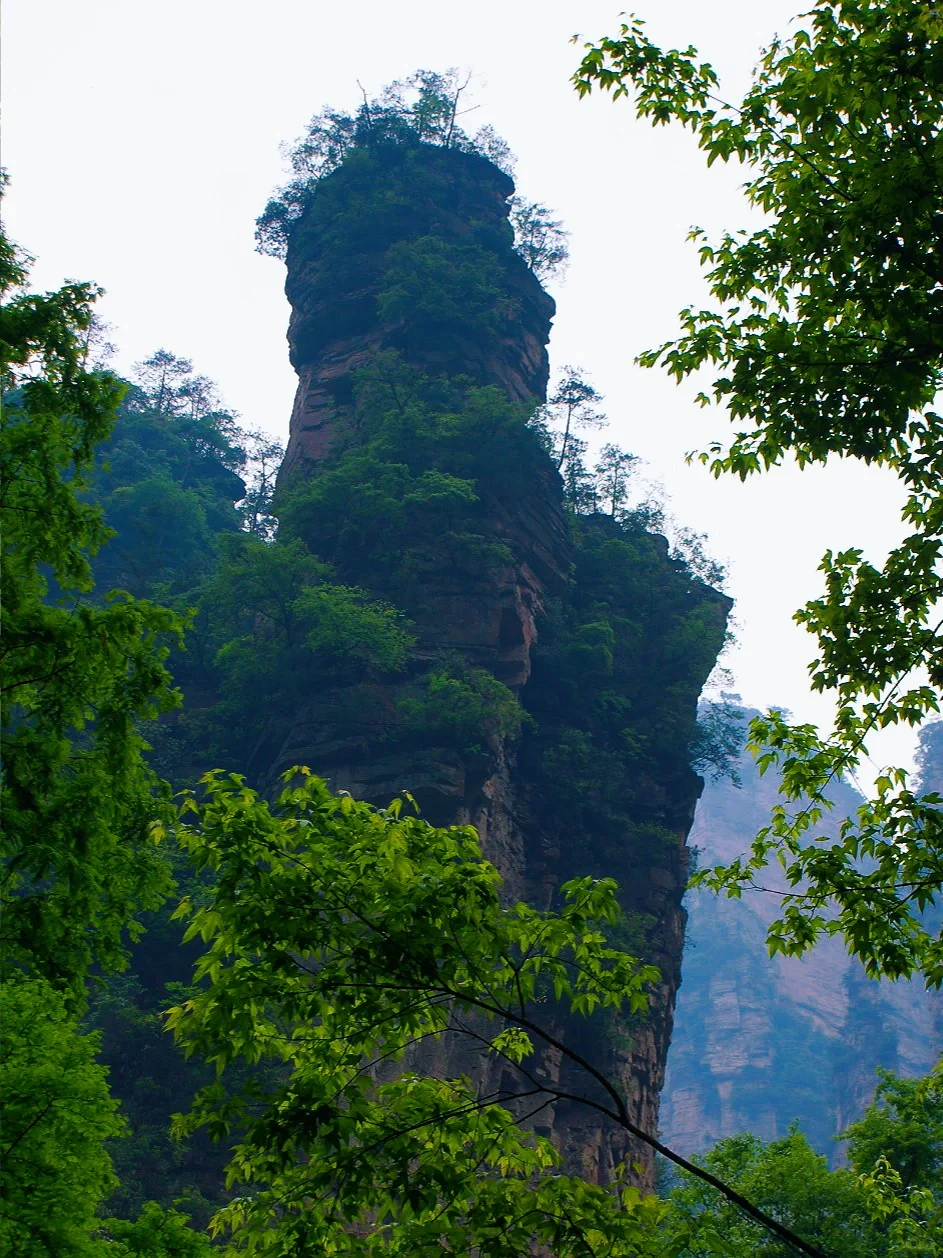 湖南武陵源 | 天门山·张家界·天子山摄影