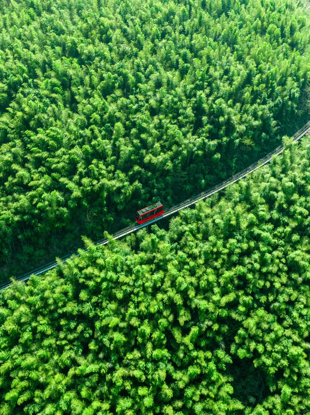 迄今为止，我最喜欢的旅游城市出现了❗❗️