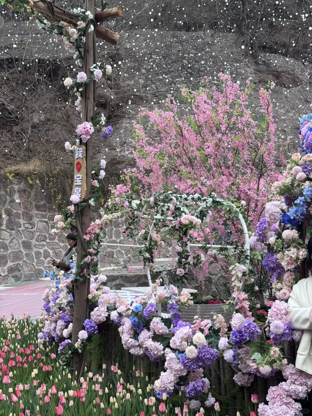 河南版莫奈花园！宝泉郁金香花海错过等一年