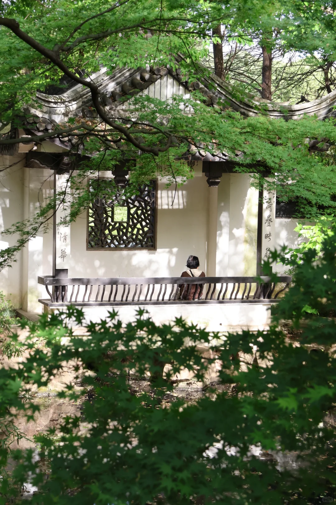 下午三点后｜无锡的这个公园会发光