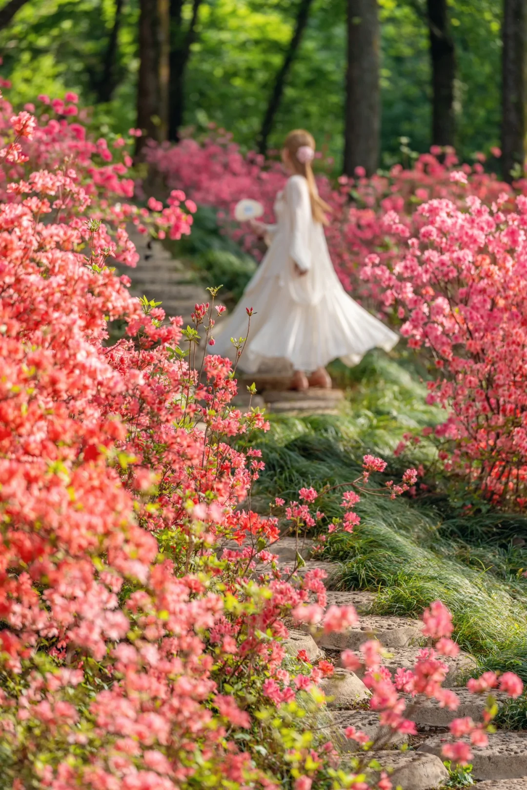 迄今为止，我最喜欢的春日小镇出现了
