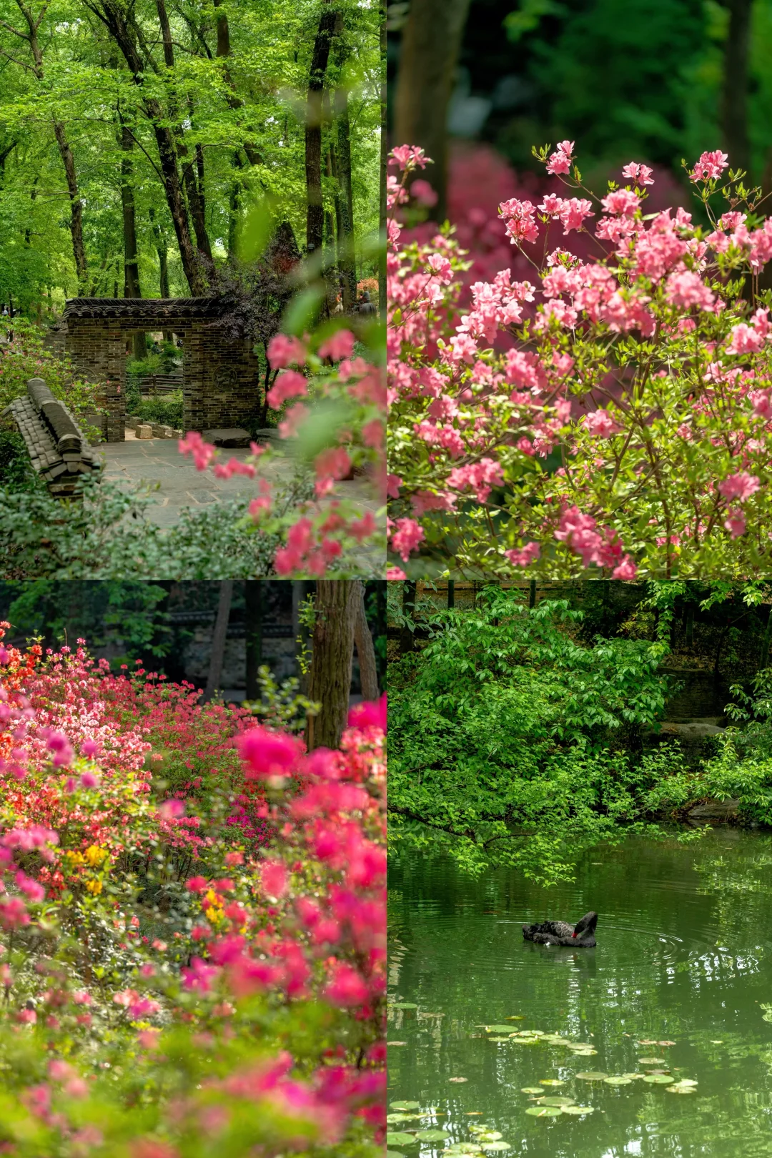 迄今为止，我最喜欢的春日小镇出现了