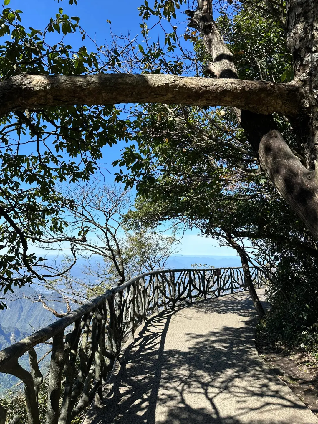 张家界真的牛啊，直接把我累趴了！