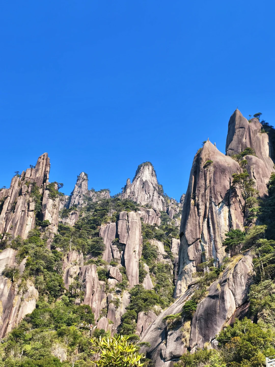 来三清山了！不虚此行⛰️