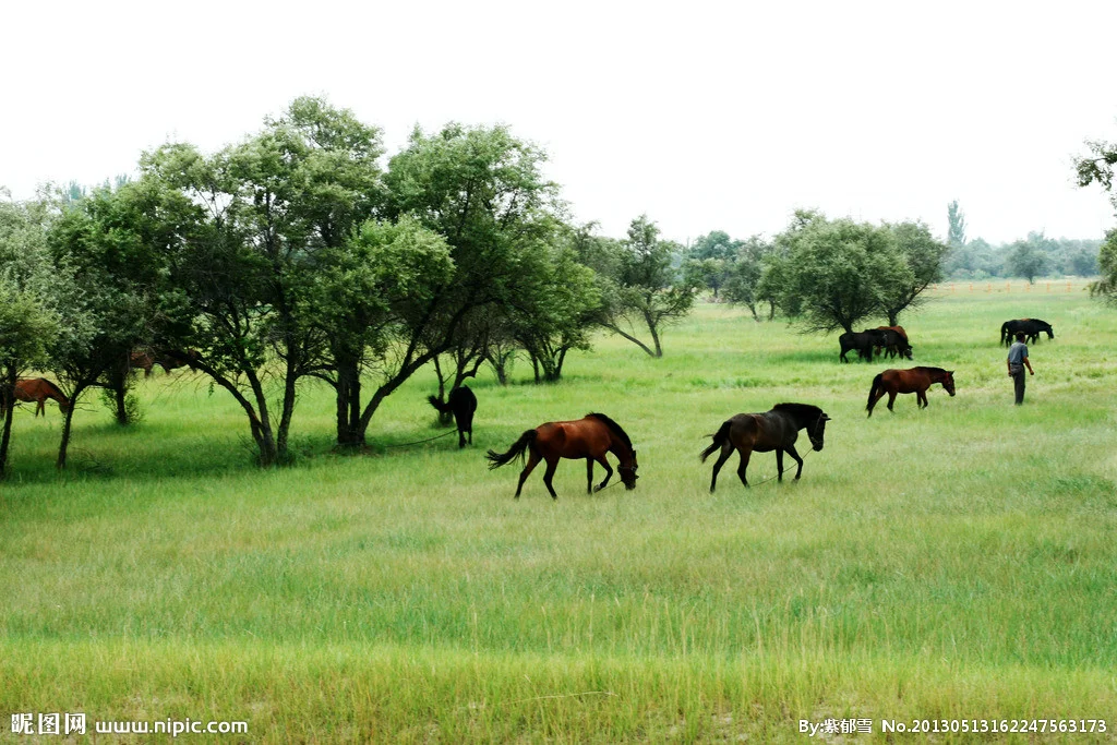 腾格里金沙岛#醉美沙漠花园