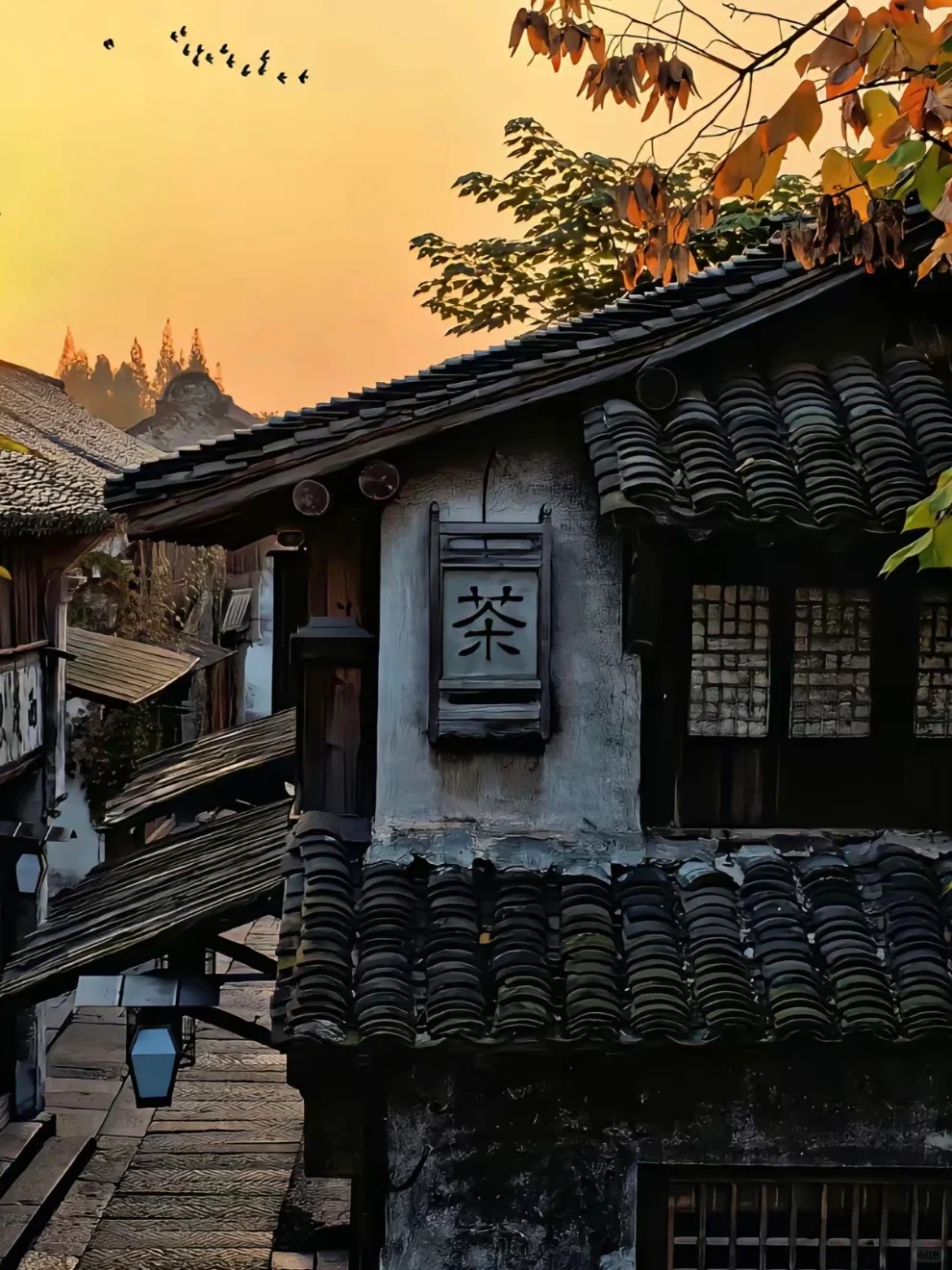 🌟乌镇5天4夜深度游攻略🌟