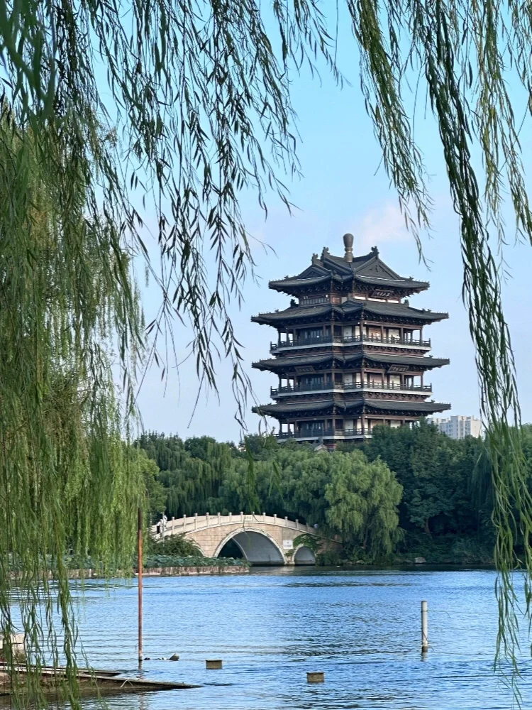 山东6日｜济南+泰山+曲阜保姆级攻略‼️