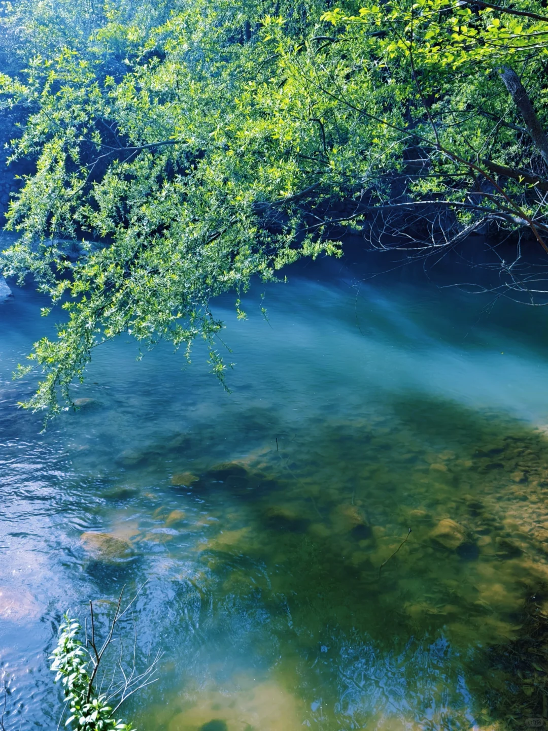 “人随春好 春与人宜”
