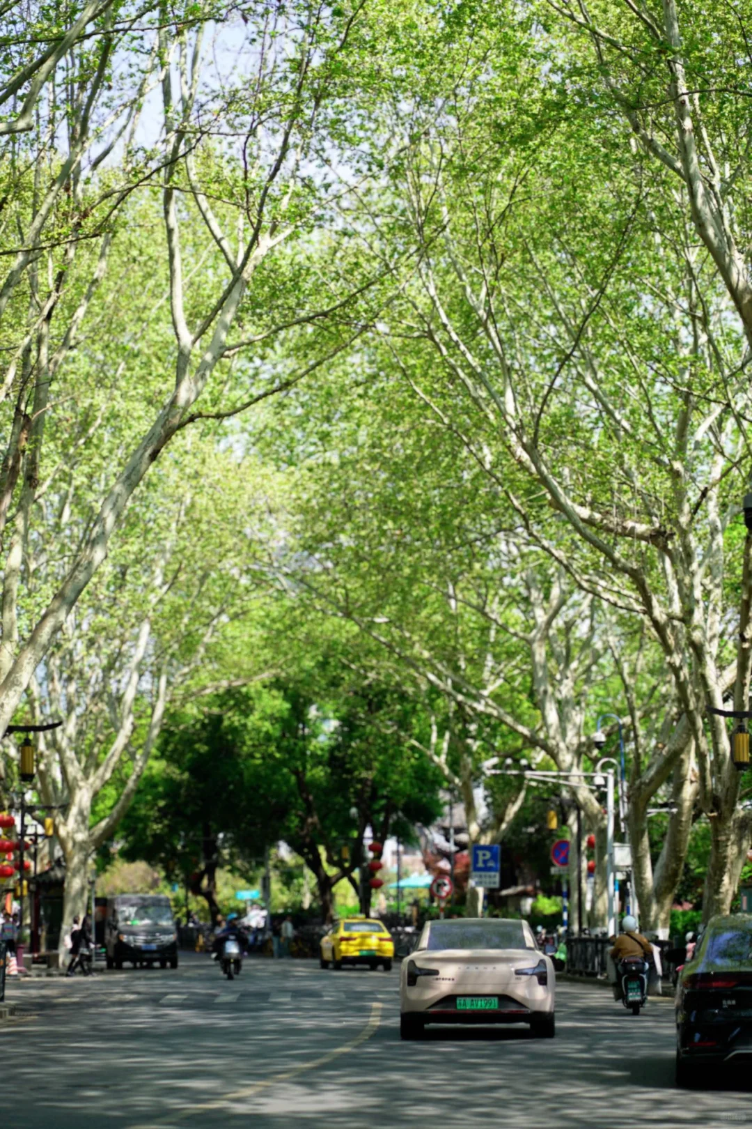 南京亲子游‼️实测不费腿不挤人攻略😎抄作业